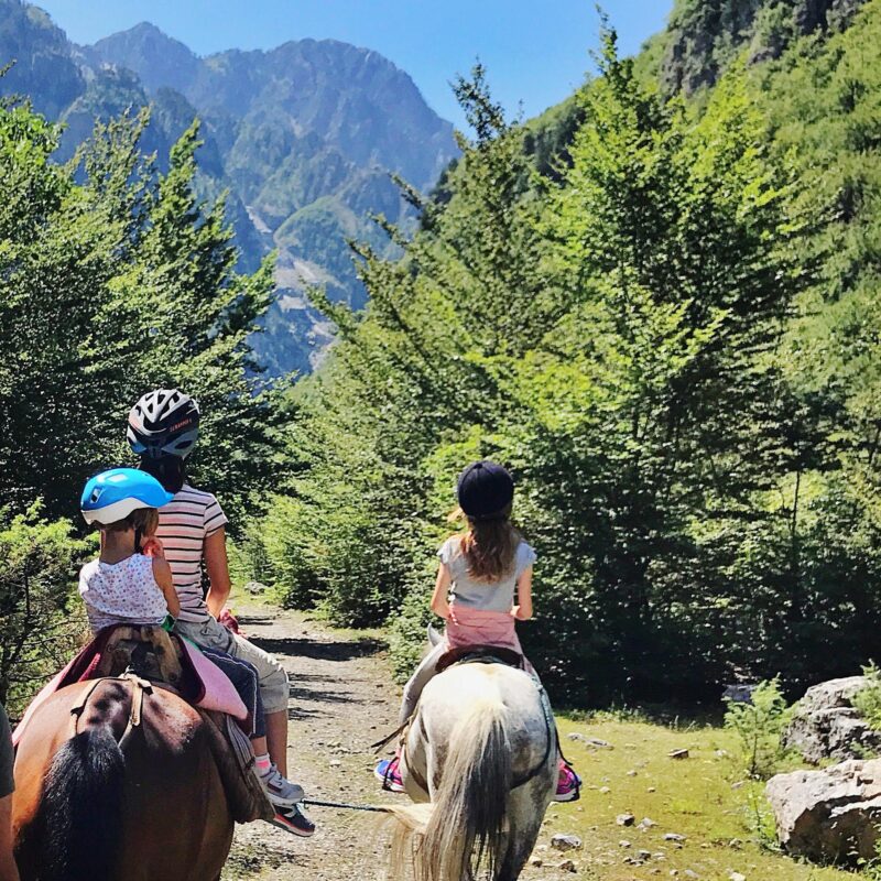 Cruelty-free Bearspotting in the Balkan