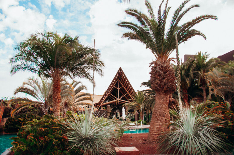De 5 leukste activiteiten met kleine avonturiers vanuit Maspalomas