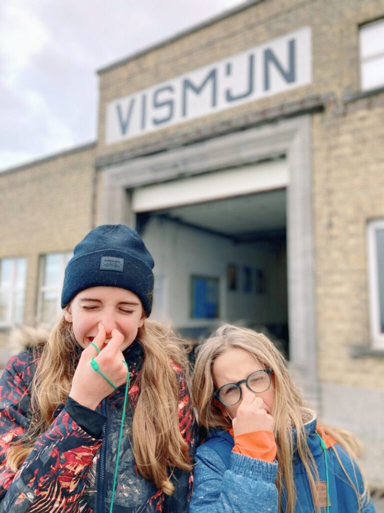 Nieuwpoort: Noordzee vol geschiedenis, cultuur, natuur en goed eten