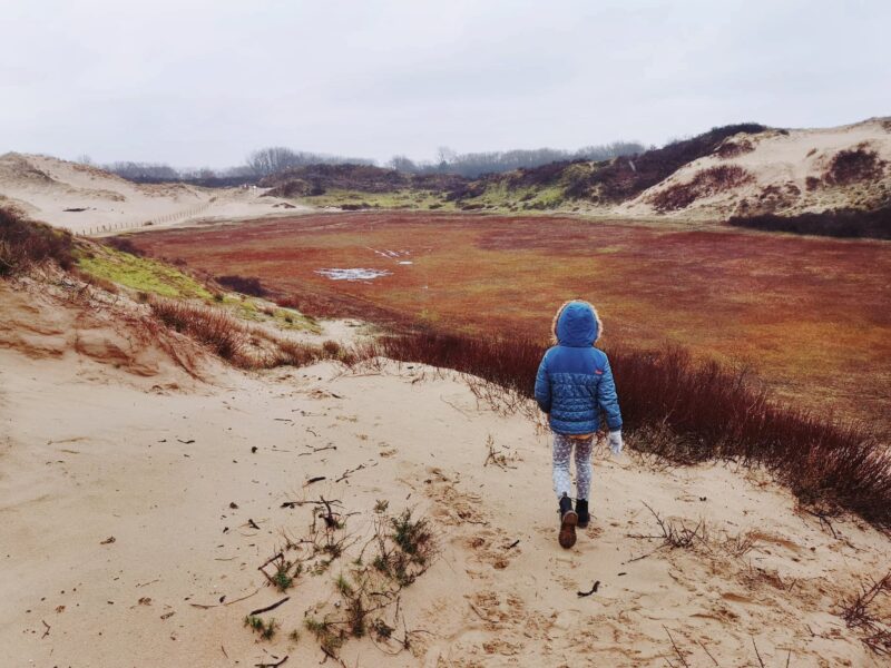 Nieuwpoort: Noordzee vol geschiedenis, cultuur, natuur en goed eten