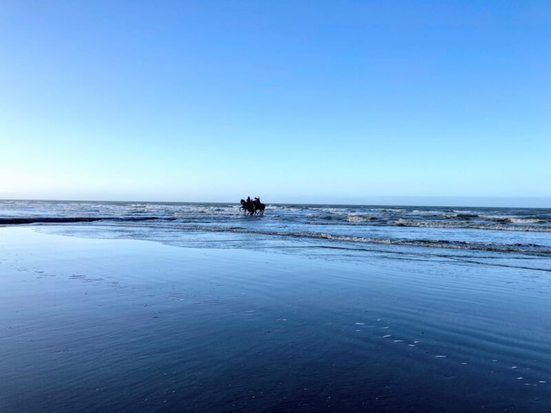 Nieuwpoort: Noordzee vol geschiedenis, cultuur, natuur en goed eten