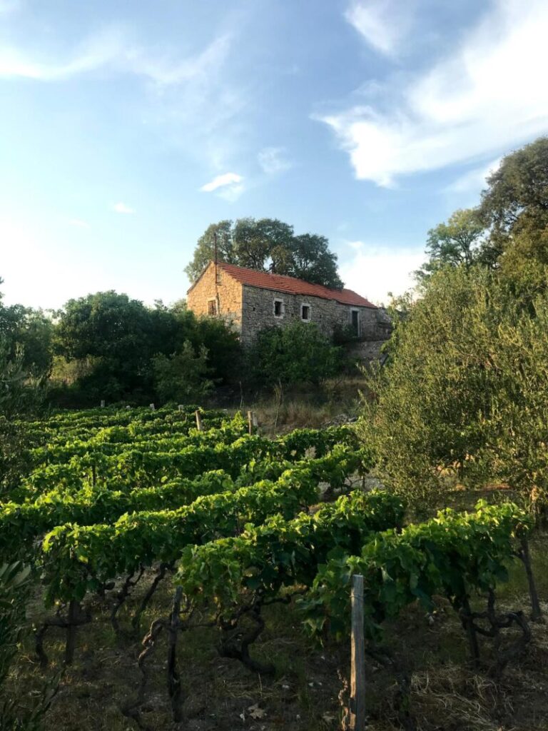 Krka … meer dan een grote waterval.