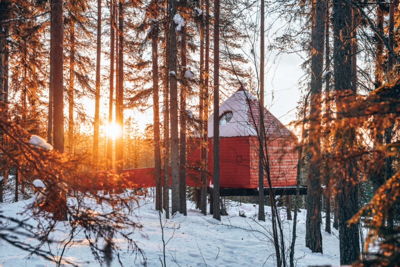 Treehotel Harrads; magie in de bomen