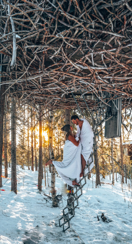 Magie in de bomen van Lapland