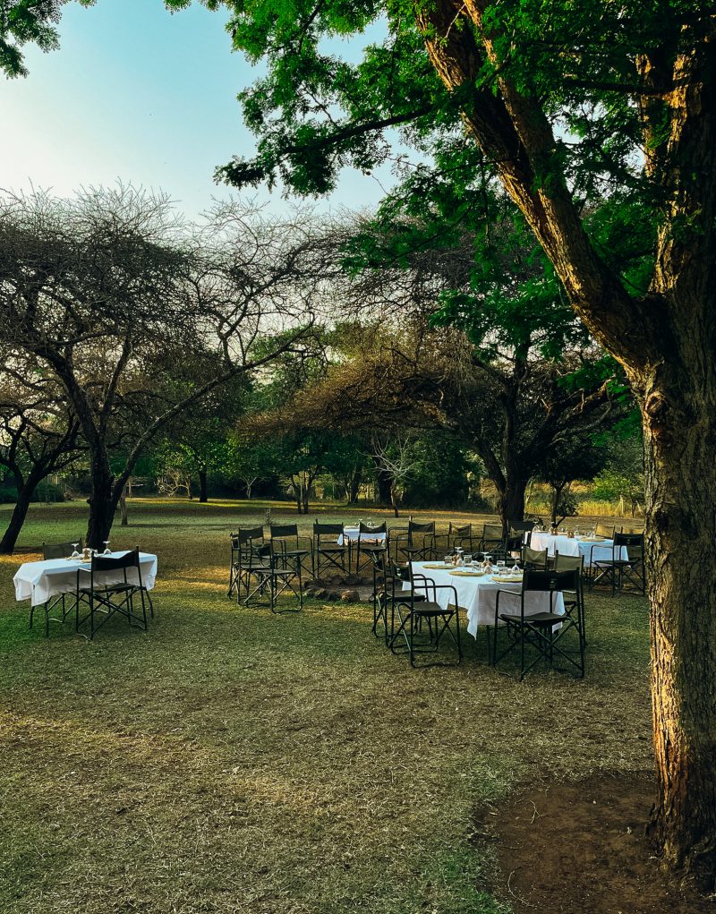 Rhino River Lodge review | In luxe slapen tussen de wilde dieren
