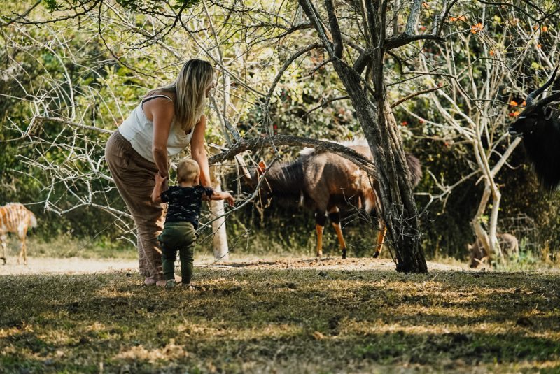 Rhino River Lodge - Wilde dieren in de tuin