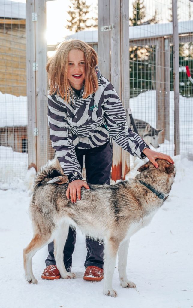 Husky sleeën in Lapland
