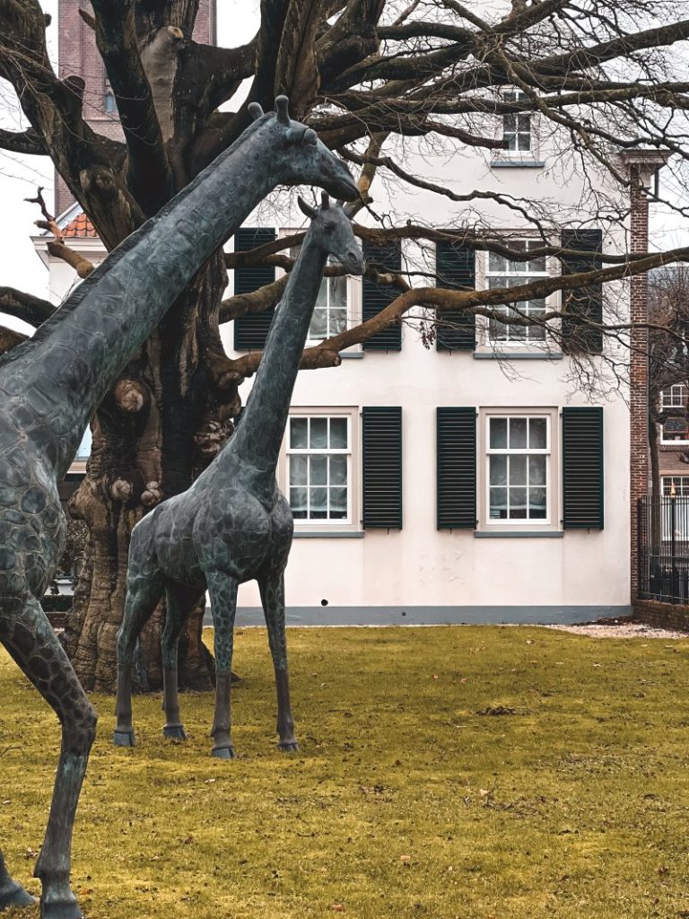 giraffenhuis in Noordwijk buiten