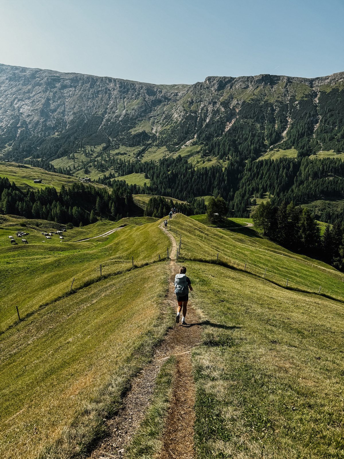 Afdalen over de alpenweides.