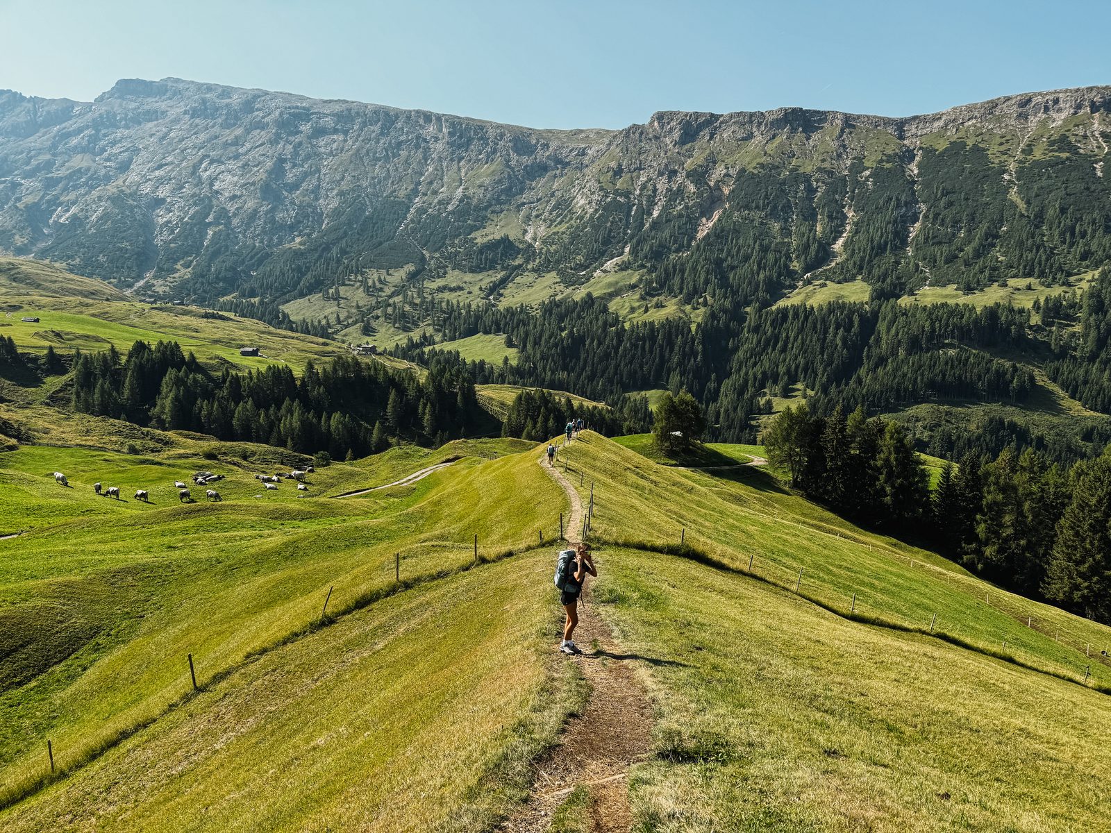 Dolomieten