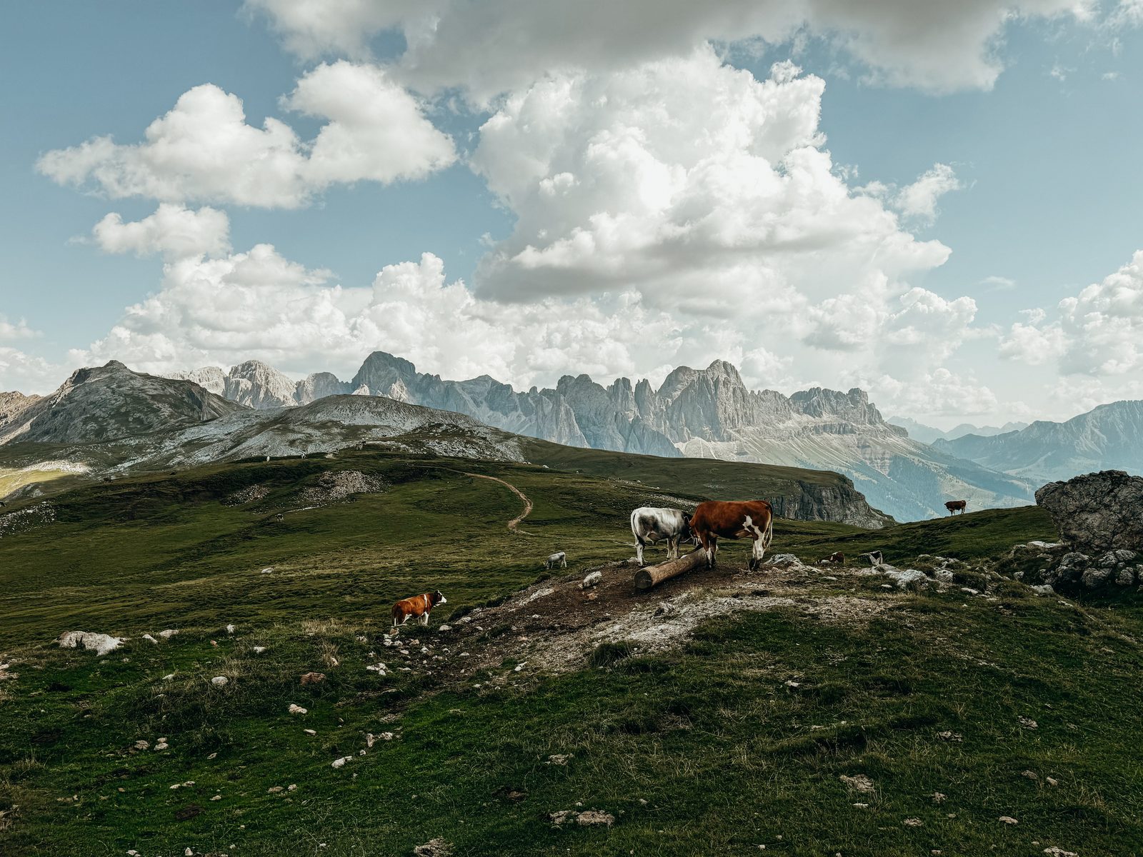 Dolomieten