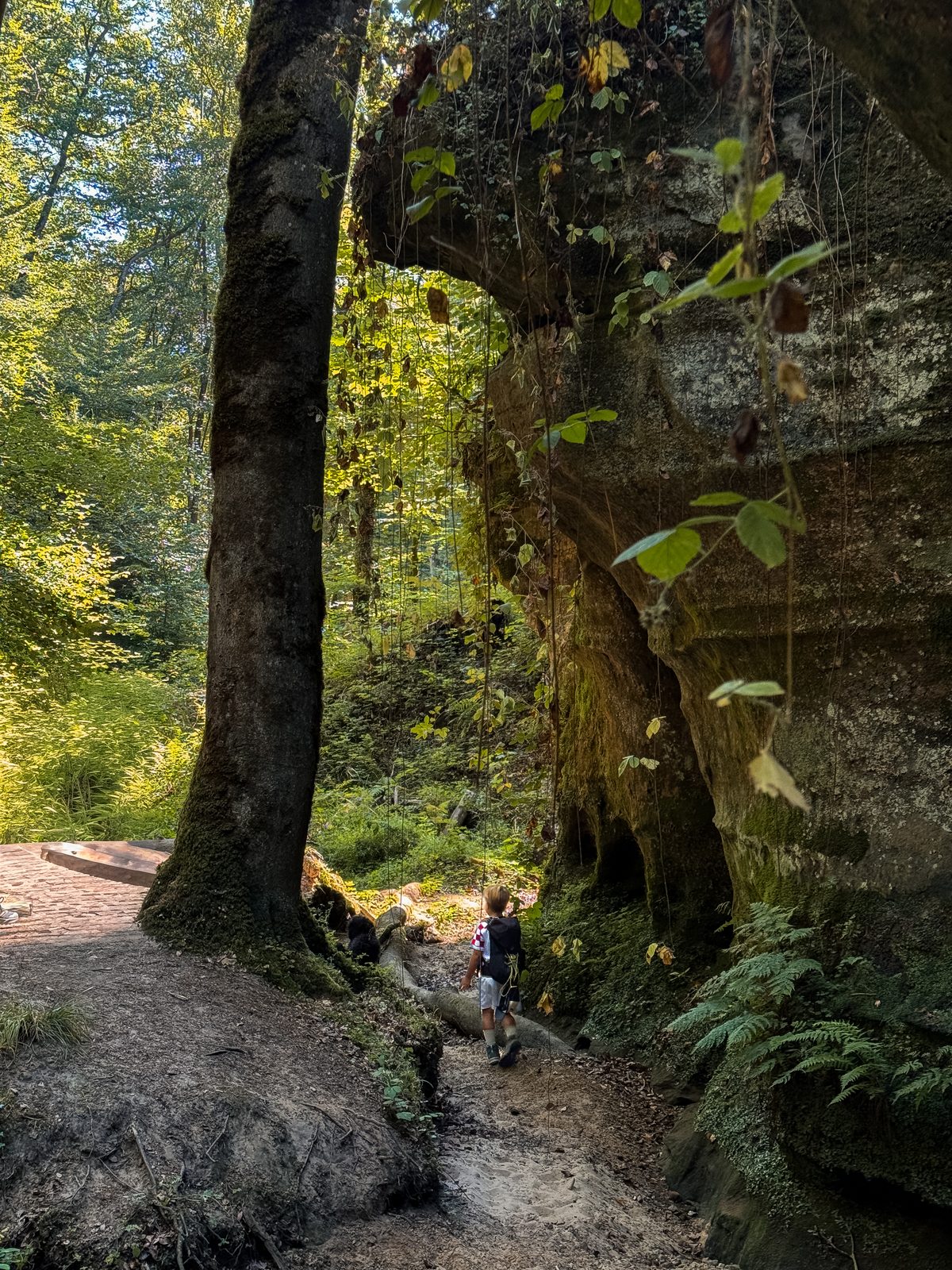 De rotswereld van het Mullerthal