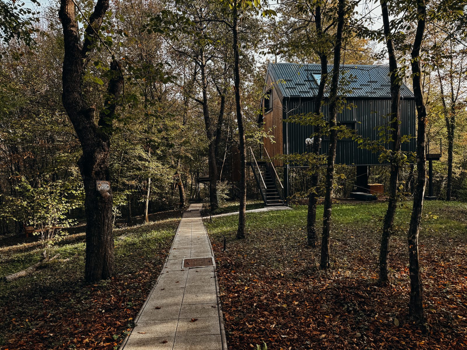 Along the wooden path to our treehouse.