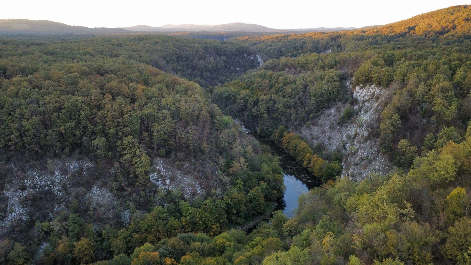 Forests in every shade of gold and red, as far as the eye can see.
